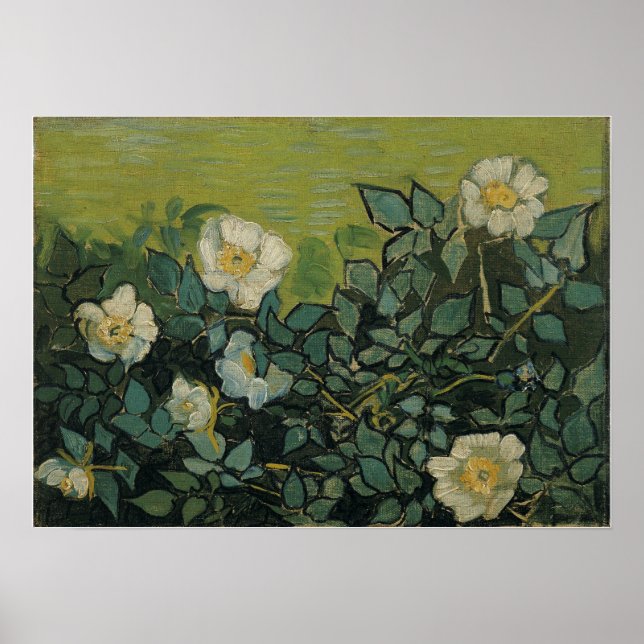 Poster Van Gogh - Rosas selvagens (Frente)