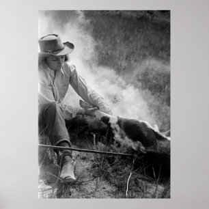 Póster Vaqueira Rassling uma vitela, os anos 30
