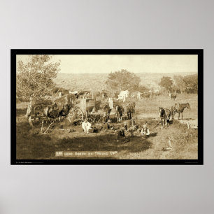 Póster Vaqueiro Chuckwagon SD 1887