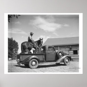 Póster Vaqueiro com cavalo em um caminhão