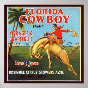 Póster Vaqueiro de Florida