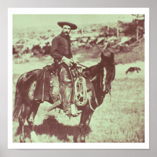 Póster Vaqueiro de Montana, c.1880 (foto de b/w)