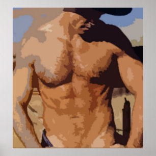 Poster Vaqueiro do deserto