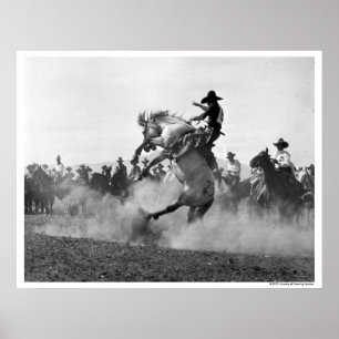Póster Vaqueiro em um bronco bucking