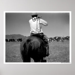 Poster Vaqueiro em um cavalo com dois tipos