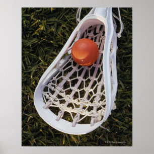 Póster Vara e bola do Lacrosse