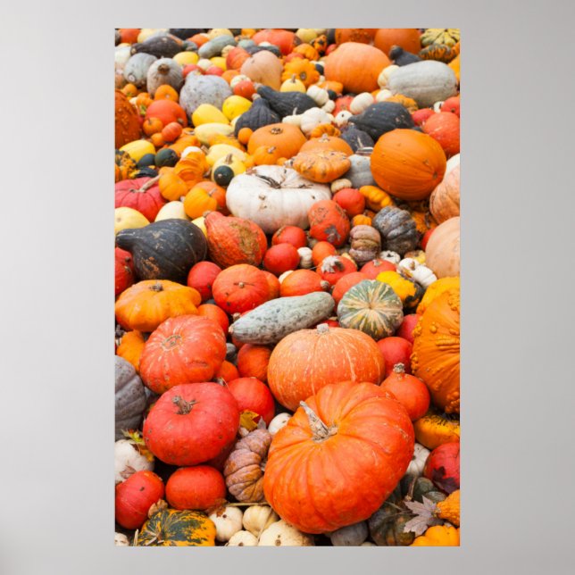 Poster Variedade de squash para venda, Alemanha (Frente)