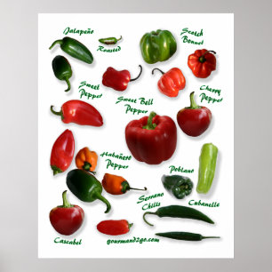 Poster Variedades de Pepper Chili