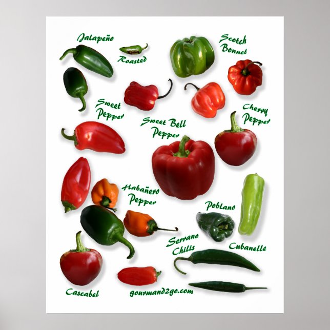 Poster Variedades de Pepper Chili (Frente)
