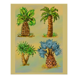 Póster Variétés de palmiers en couleurs.