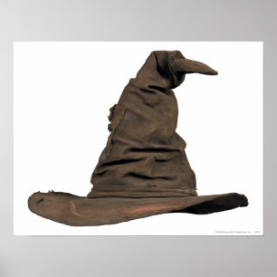 Poster Varinha de Harry Potter   Chapéu Seletor