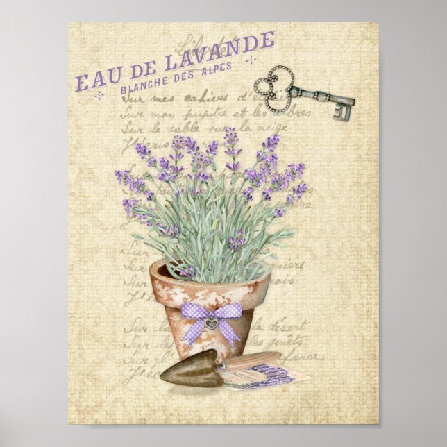 Poster Vaso de Terracota Jardim Lavanda Francesa (Frente)