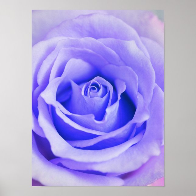 Póster Vazio de Lavanda personalizada com fundo Rosa roxo (Frente)