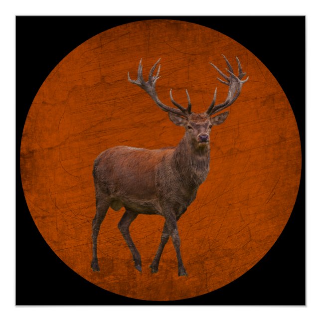 Póster veado vintage na natureza laranja (Frente)