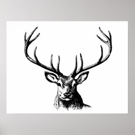 Poster Vedante Animal Antlers Natureza Cavalos Selvagem C