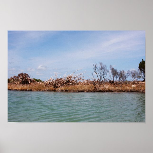 Poster Vegetação da Ilha 1 (Frente)