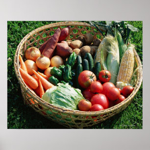 Póster Vegetais 5