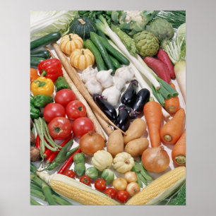 Póster Vegetais 6
