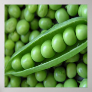 POSTER VEGETAIS DE FRUTA