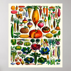 Poster Vegetais do ~ de Adolfo Millot