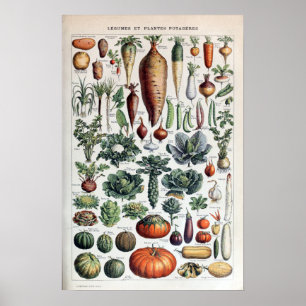 Poster Vegetais e Vegetais Franceses Vintage