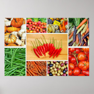 Poster vegetal colorido da colagem