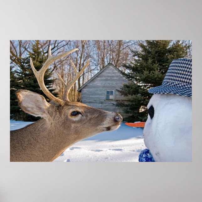 Poster Vegetariana (Frente)