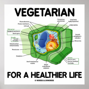 Póster Vegetariana Para Uma Vida Mais Saudável (Célula 