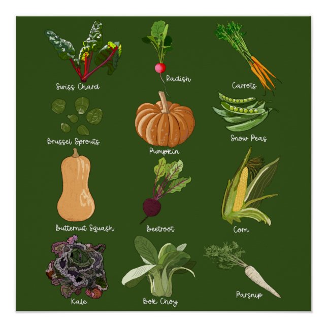 Póster Veggins de outono caem na colheita de vegetais (Frente)