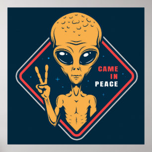 Poster Veio Em Paz