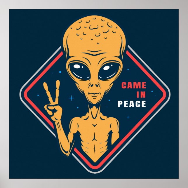 Poster Veio Em Paz (Frente)