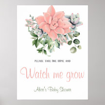 Vejam-me Cultivar Suculente Aquarela Verde