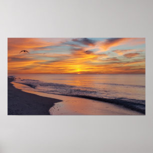 Póster Vela da Manhã