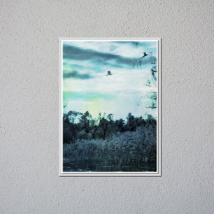 Póster Velha Aquarela com um Poster brilhante pássaro