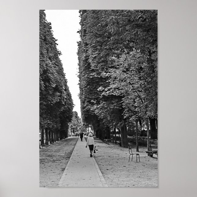 Póster Velhinha andando no parque em Paris no verão (Frente)