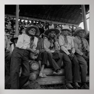 Poster Velhos Cowboys Na Rodeo Vintage Foto