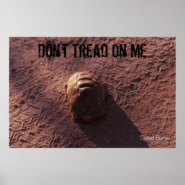 Póster Velocidade (Frente)