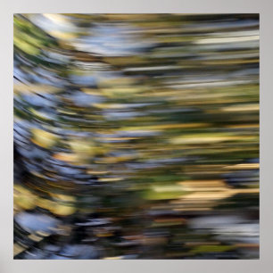 Póster Velocidade
