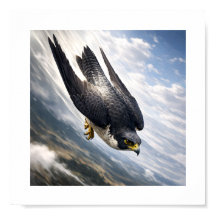 Velocidade do Céu – Falcão Peregrino em Descida