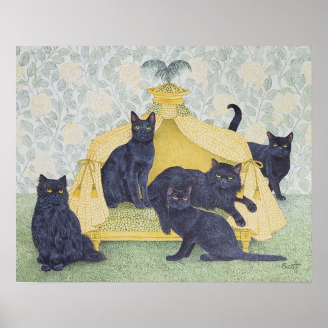 Poster Veludo negro (Frente)