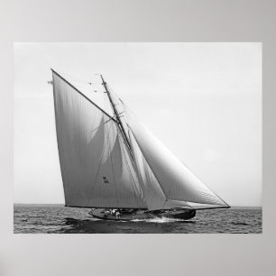 Póster Vencedor Redux