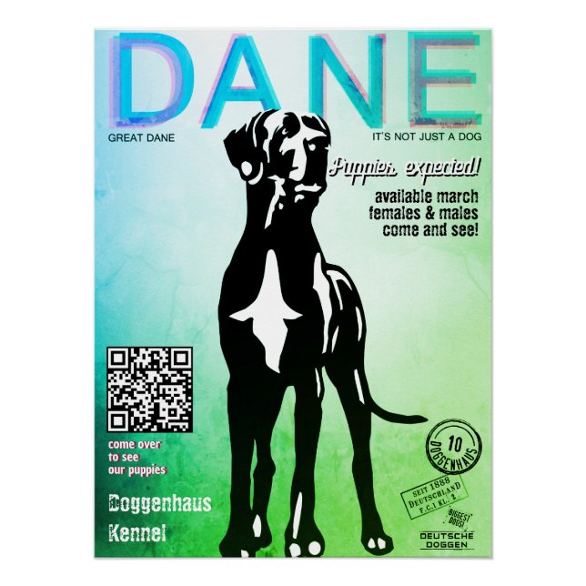 Póster Venda um Cartaz Glossy de um Great Dane (Frente)