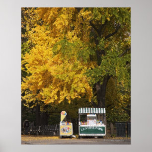 Póster Vendedor de cachorro quente