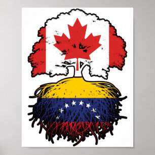 Poster Venezuela Raízes venezuelanas canadenses