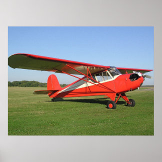 Póster Venha voar comigo