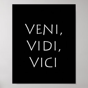 Poster Veni vidi vici