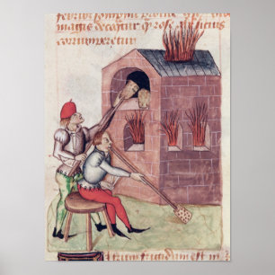 Póster Ventiladores de vidro, 'de Tractatus de Herbis'