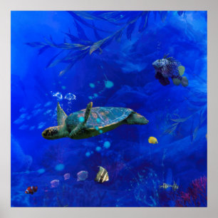 POSTER VENTO DA TURTLE MARÍTIMA NA ÁGUA