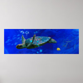 POSTER VENTO DA TURTLE MARÍTIMA NA ÁGUA
