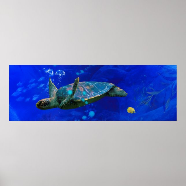 POSTER VENTO DA TURTLE MARÍTIMA NA ÁGUA (Frente)